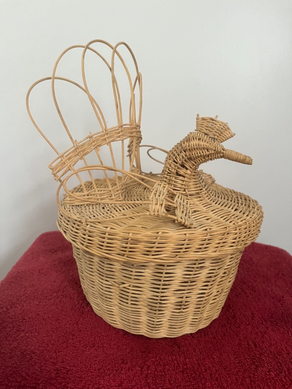 Vintage Chicken Hand
Woven Basket
